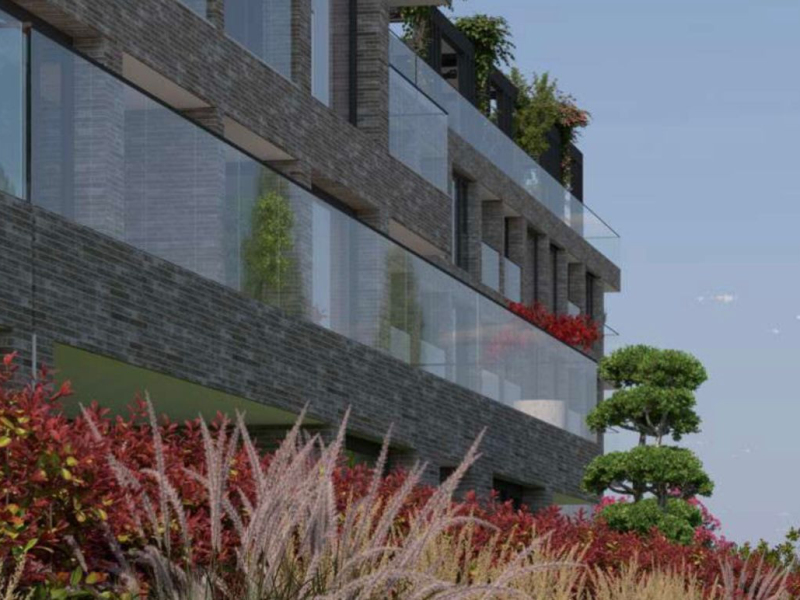 Botanic Garden – V. časť | Pokračovanie pokoja v presných proporciách